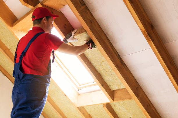 Types of Insulation We Offer in Bristol, FL